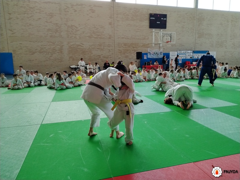 Juegos Infantiles de Judo. Pamplona 25-05-24. FOTOS